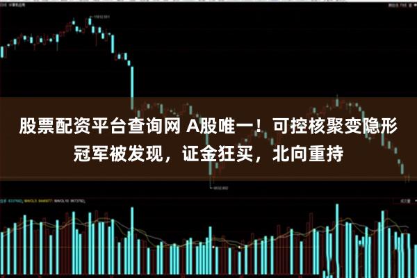 股票配资平台查询网 A股唯一！可控核聚变隐形冠军被发现，证金狂买，北向重持